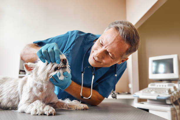 Best Emergency Wisdom Tooth Extraction in Middleton, WI